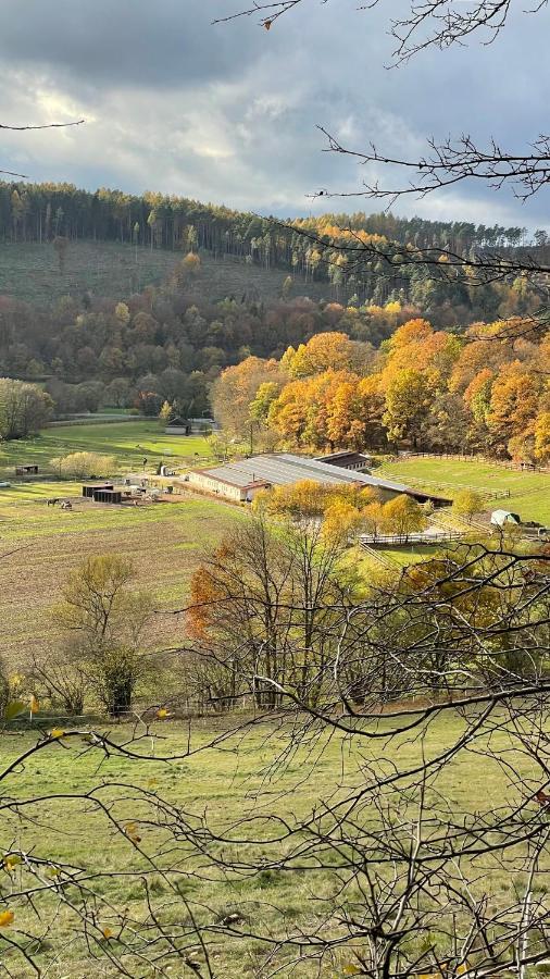 Ferienapartments Reitanlage Schenksolz Schenklengsfeld Екстериор снимка